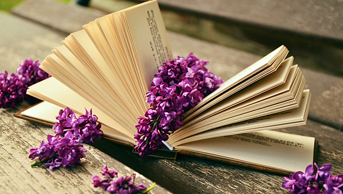 Die wichtigsten Daten von S bis Z