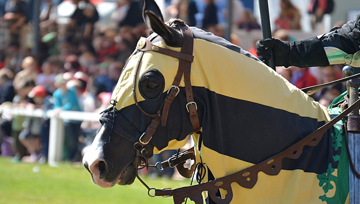 Veranstaltungen Schloss Blankenburg